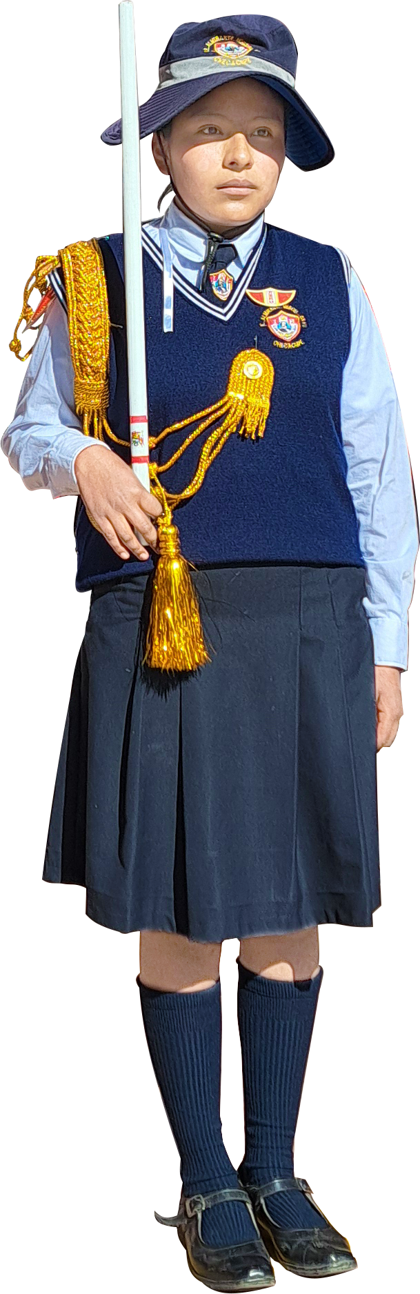 Descripción de la imagen